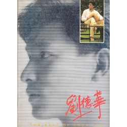 Best of Andy Lau