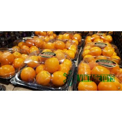 Japanese Kumquat